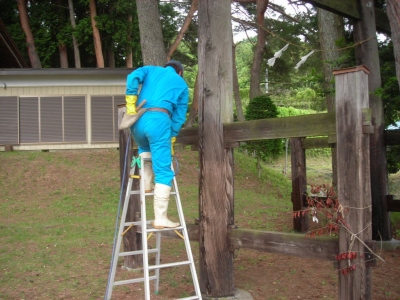 築百数十年神社（箕輪町）画像