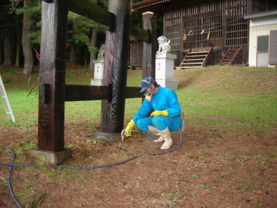 シロアリ集団の本体は地中にあります。経路を特定した上で薬剤を注入していきます。