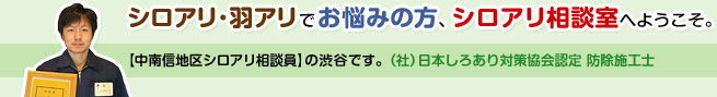 シロアリ･羽アリでお悩みの方、シロアリ相談室にようこそ。【中南信地区シロアリ相談員】の渋谷です。（社）日本しろあり対策協会認定 防除施工士