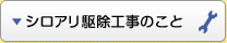 シロアリ駆除工事のこと