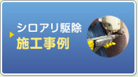 シロアリ駆除施工事例