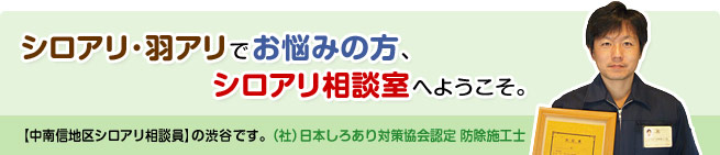 シロアリ･羽アリでお悩みの方、シロアリ相談室へようこそ。【中南信地区シロアリ相談員】の渋谷です。（社）日本しろあり対策協会認定 防除施工士