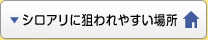 シロアリに狙われやすい場所